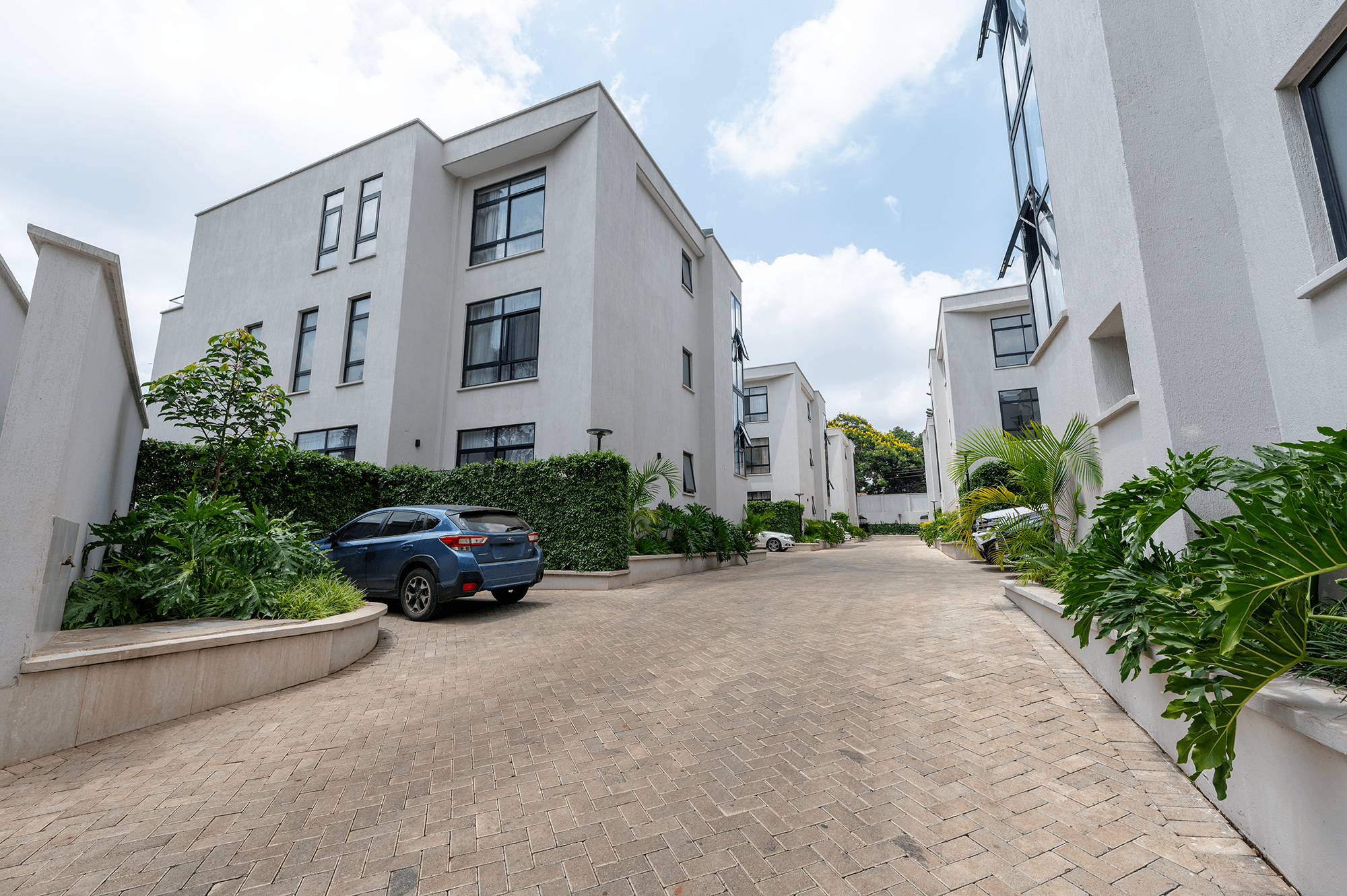Kabarsiran, Lavington
